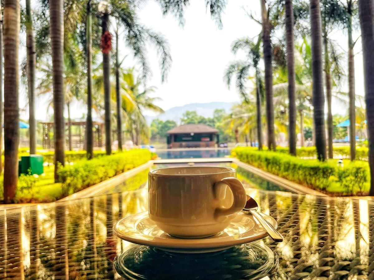 Radisson Blu Plaza Resort & Convention Centre كارجات المظهر الخارجي الصورة A cup of coffee